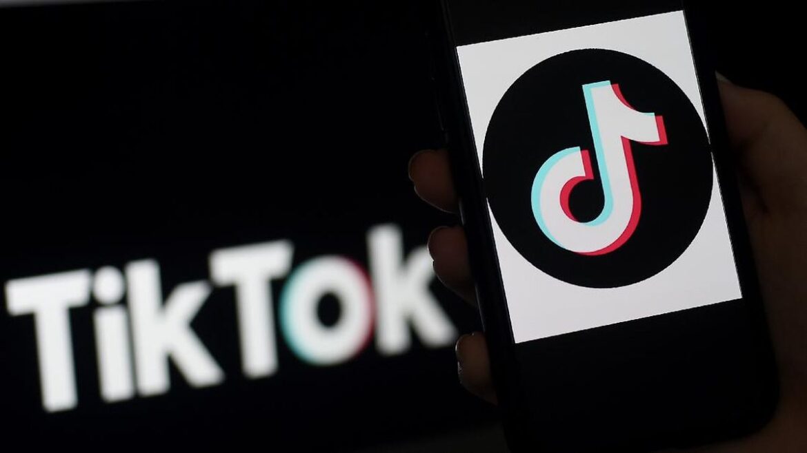 Pengalaman Download Video TikTok dengan Fitur TTSave Lengkap